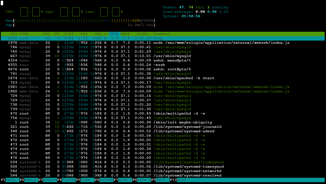 htop in putty