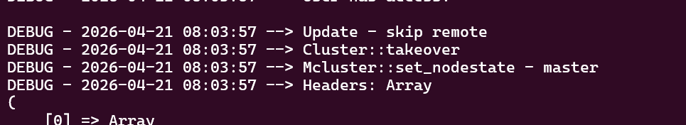 cluster log slave